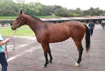 ������� (PEEP BABBLE) ����