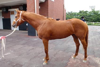 ���ϸ��� ����