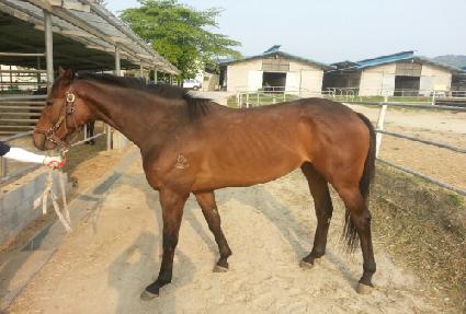 ��Ÿ�� ����