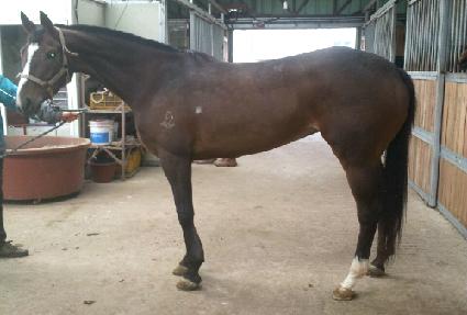 �ر� ����