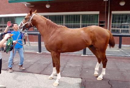 ���γ��� ����