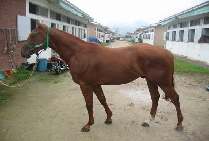 �����己 ����