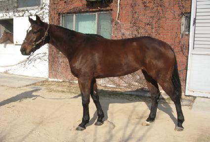 �������ູ ����