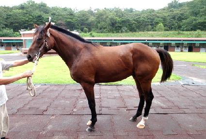 ���ؽ���Ʈ ����