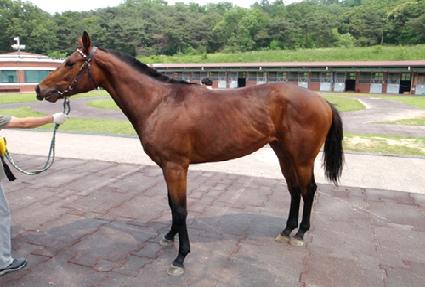 �۷ι��븮 ����