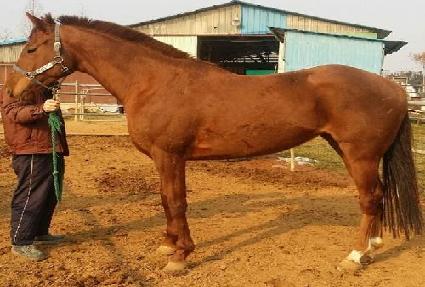 �ƶ����� ����