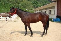 ġ��� (CHEER UP) ����