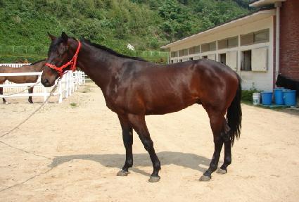 ġ��� ����