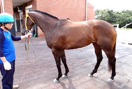 Ǯ����Ƽ ����