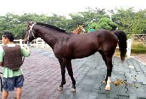 ��ȣ�ʽ� (YAHO PILSEUNG) ����