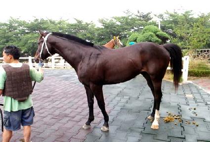 ��ȣ�ʽ� ����