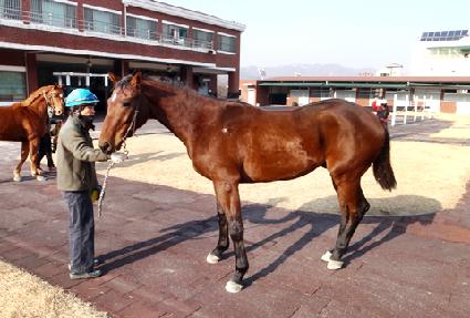 �ϵνű� ����