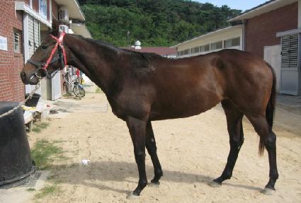 ��ũ��Ÿ�� ����