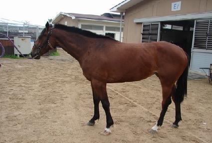 �ƺ����Ѿ� ����