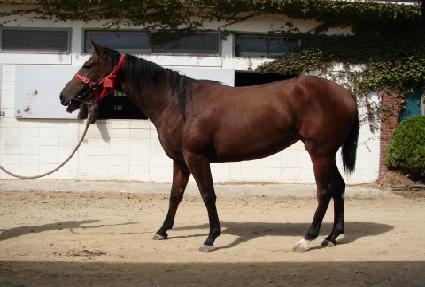 ���۵帲���� ����