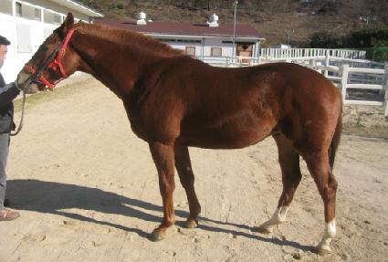 ����ũ���� ����