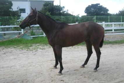 Ŀ�� ����