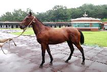 �ӴϹٴ� (MONEY BADA) ����