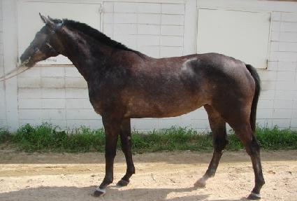 ���ۿ����� ����