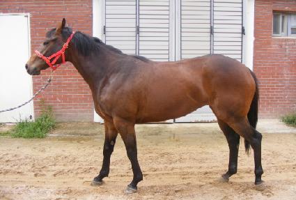 ����Ʈ���� ����