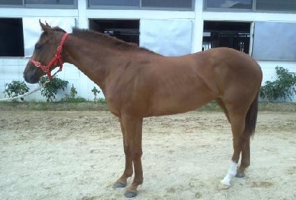 ����Ʈ�Ŀ� ����