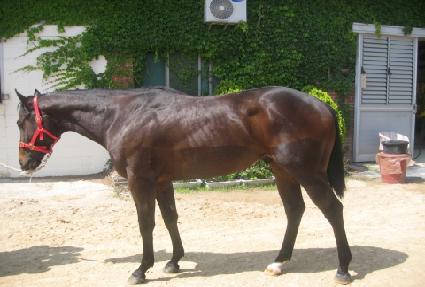 ����è�Ǿ� ����