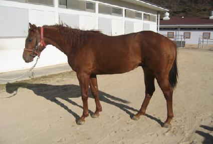 �Ϸʽű� ����