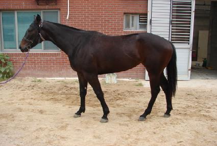 ����ȭ ����