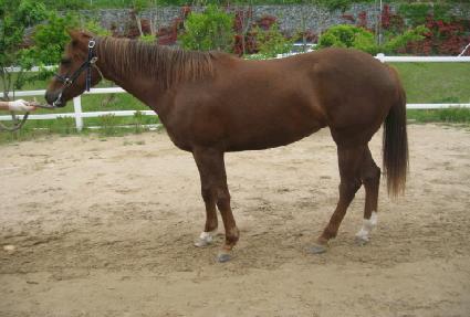 ����� ����