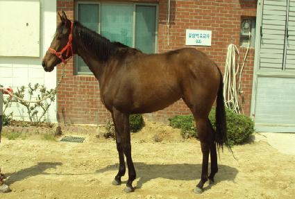 ��ī ����