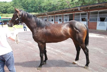 �������� ����