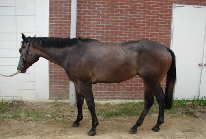 �̽����� ����