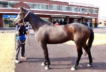 �»긶�� (TAESAN MARU) ����