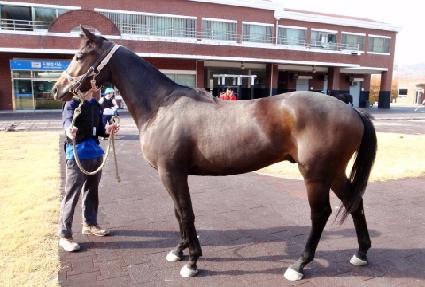 �»긶�� ����