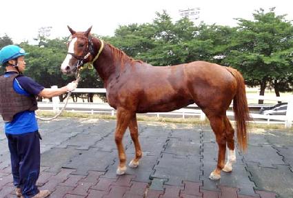 �ݾ��� ����