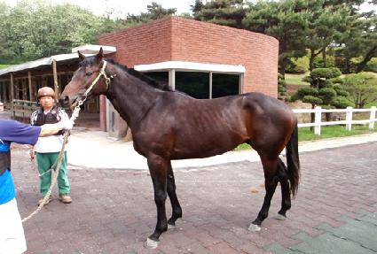 ���Ĺ ����