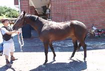 ��꺸�� (DAESAN BOBAE) ����