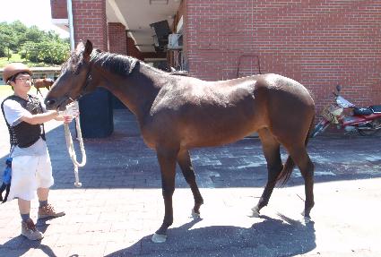 ��꺸�� ����