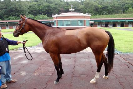 ķ������Ʈ ����