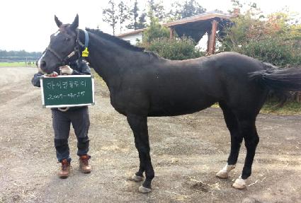 ����¡�۷θ� ����