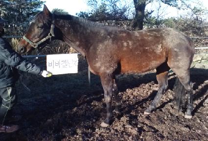 ���ç���� ����