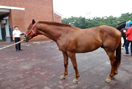 ��â�ϰ� ����