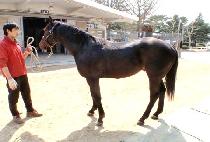 ���ڵ� (GEUMJADONG) ����