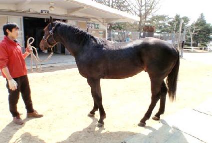 ���ڵ� ����