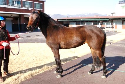 û���Ҹ� ����