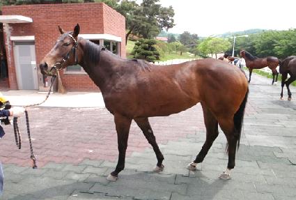 ����ǳ�� ����