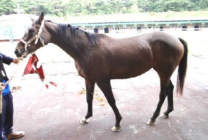 Ʈ����Ʈ���� ����