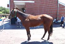 ������� (HAENGUN YUSU) ����