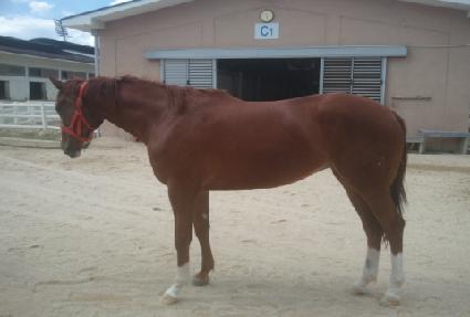 �̽�ī���� ����