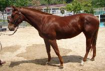 �۷ι���� (GLOBAL WOMAN) ����